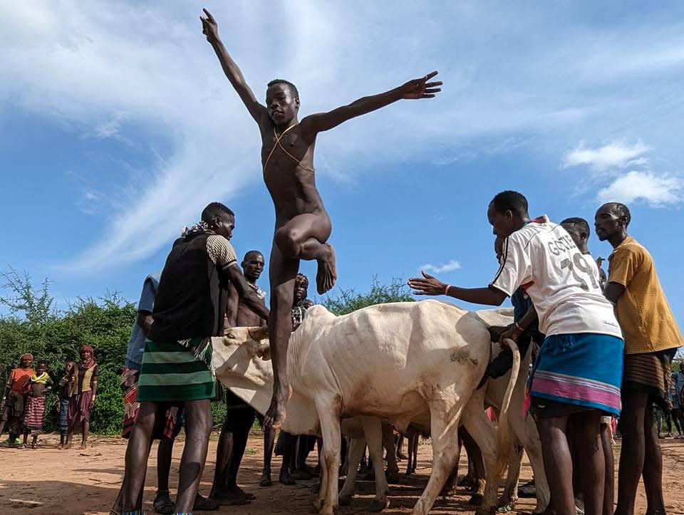 Hamer Bull Jumping